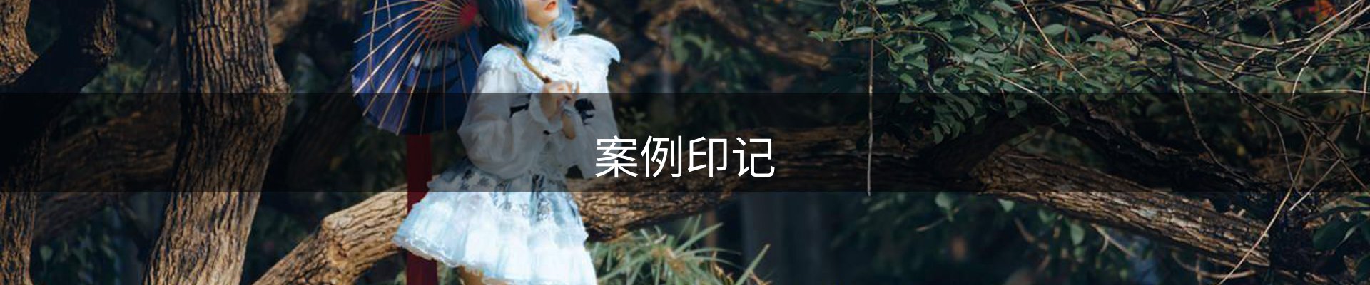 案例印记